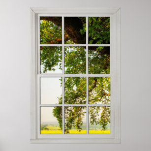 Affiche Fenêtre Arbre de chêne de campagne avec l'illusion