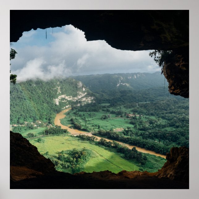 Affiche Fenêtre de la jungle (Devant)
