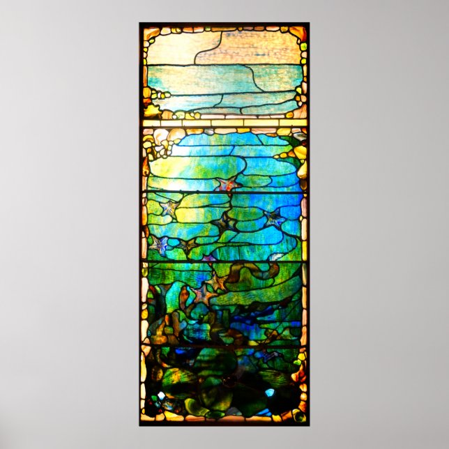 Affiche Fenêtre en verre tendu étoile mer (Devant)