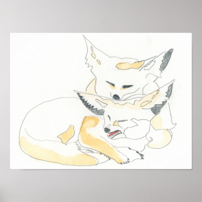 Affiche Fennec Foxes (Devant)