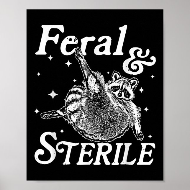 Affiche Feral Et Stérile, Funny Raccoon Meme (Devant)