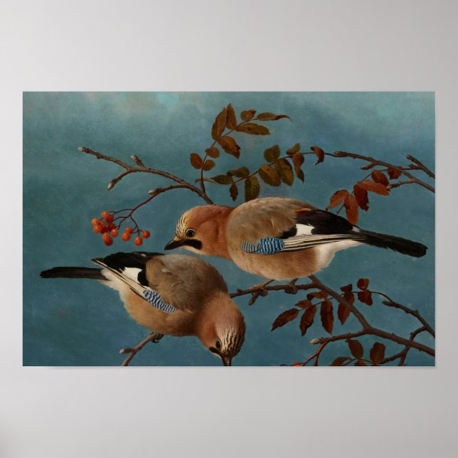 Affiche Ferdinand von Wright - Jays (Devant)