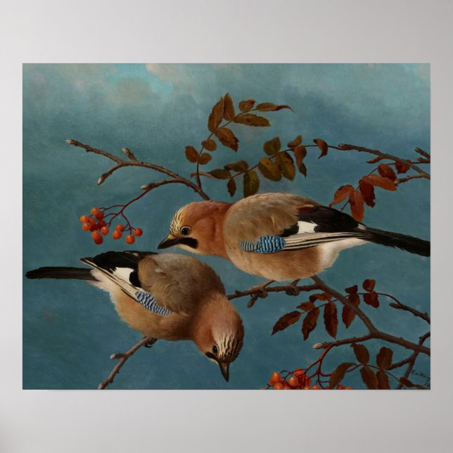 Affiche Ferdinand von Wright - Jays (Devant)