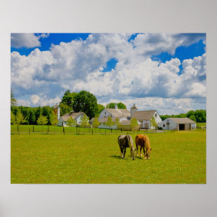 Affiche Ferme à chevaux