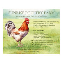 Ferme de poulets 