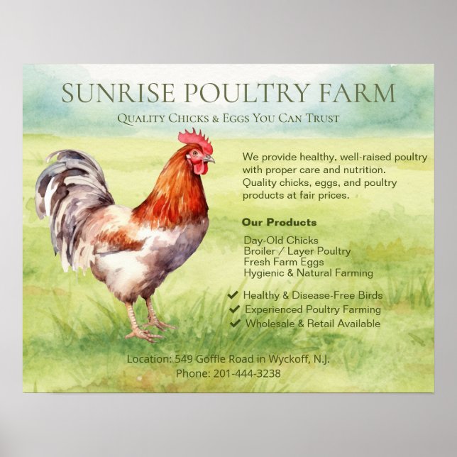 Affiche Ferme de poulets  (Devant)