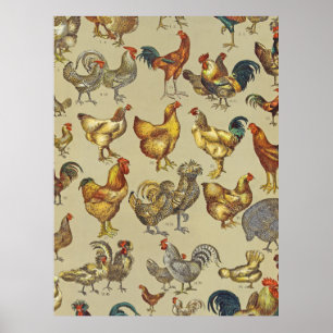 Affiche Ferme de poulets Coq Pays Animal
