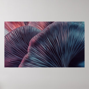 Affiche Fermer beau bouquet de champignons couleur lumière