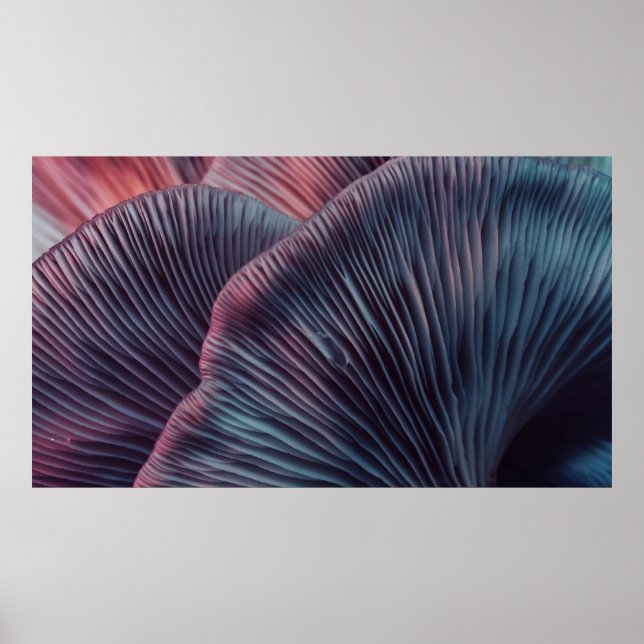 Affiche Fermer beau bouquet de champignons couleur lumière (Devant)