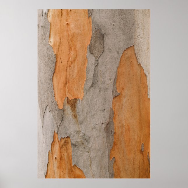 Affiche Fermer la photo du tronc d'arbre (Devant)