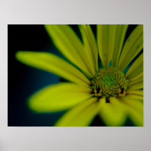 Fermer le Fleur sauvage jaune