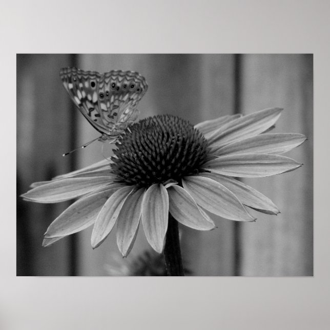 Affiche Fermer le papillon (Devant)