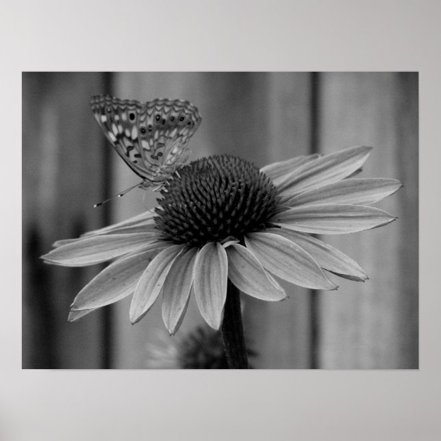 Affiche Fermer le papillon (Devant)