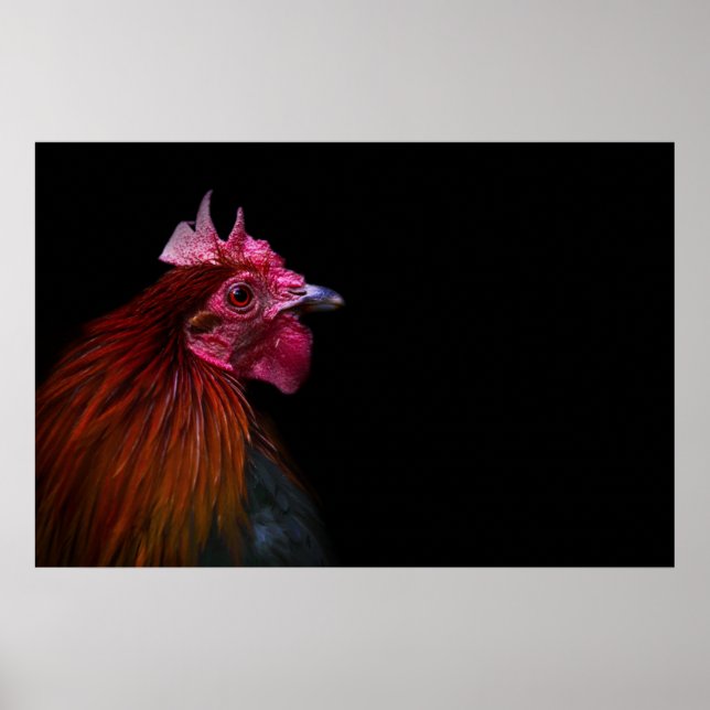 Affiche Fermes | Tête de coq (Devant)