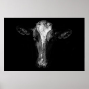 Affiche Fermes   Tête de vache B&W