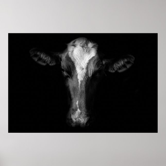 Affiche Fermes | Tête de vache B&W (Devant)