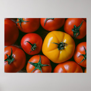 Affiche Fermes   Tomates rouges et jaunes brillantes