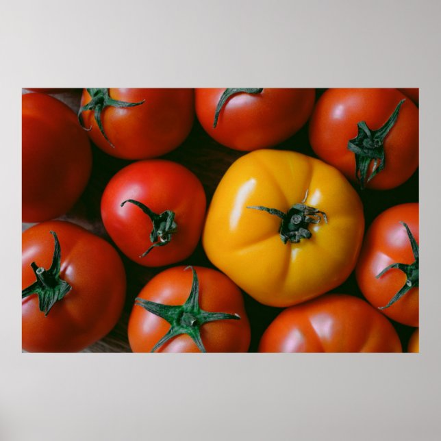 Affiche Fermes | Tomates rouges et jaunes brillantes (Devant)