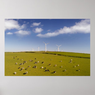 Affiche Fermes   Vaches près de la ferme de moulin à vent