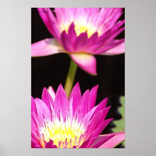 Affiche fermeture (Devant)