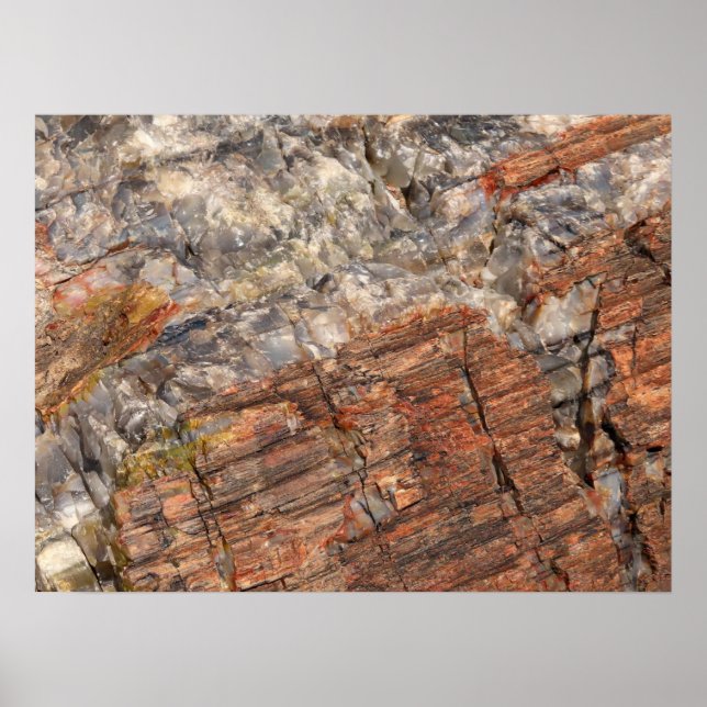 Affiche Fermeture du journal pétrifié I (Devant)