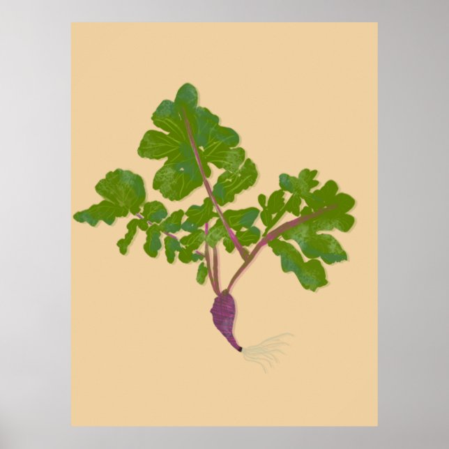 Affiche Fermier Radish Turnips Jardinage Plante (Devant)