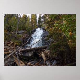 Affiche Fern Falls à Rocky Mountain National Park