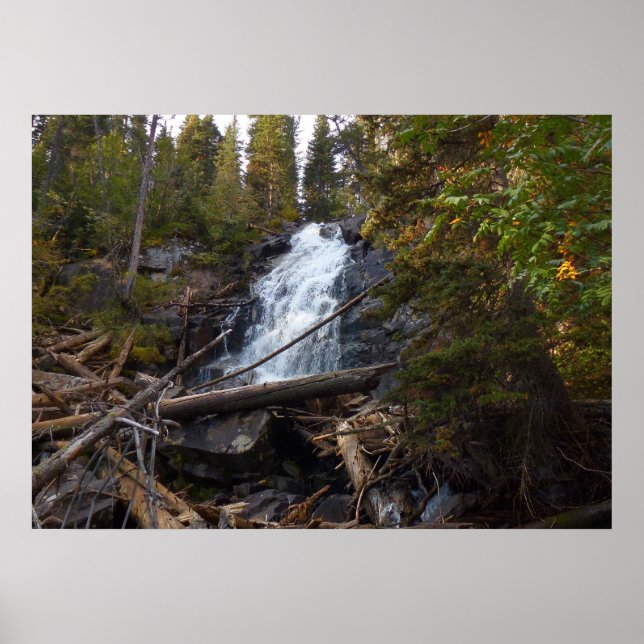 Affiche Fern Falls au parc national Rocky Mountain (Devant)