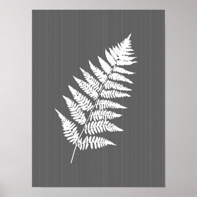 Affiche Fern Frond, Blanc sur Gris de Charbon / Gris (Devant)