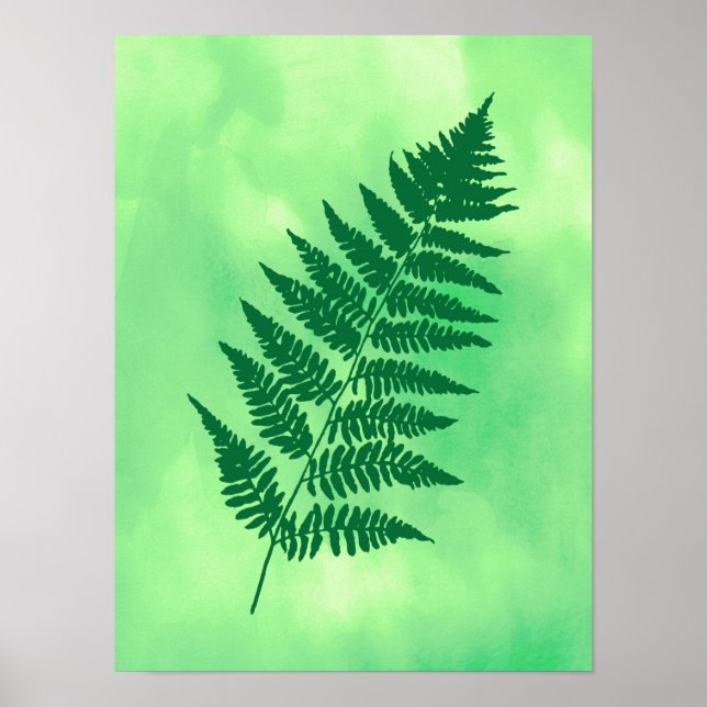 Affiche Fern Frond, Vert sur une Aquarelle Arrière - plan  (Devant)