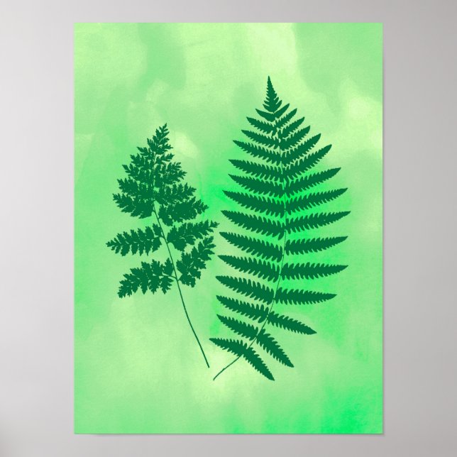 Affiche Fern Fronds, vert sur un Arrière - plan aquarelle (Devant)