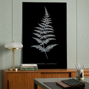 Affiche Fern - Gymnogramma Chrysophylla. Effet de rayons X