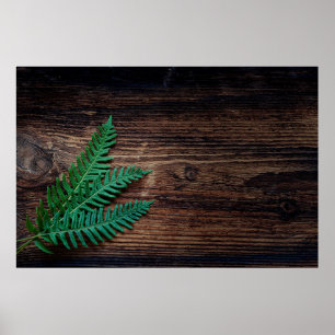 Affiche Fern plant wood small fern grunge
