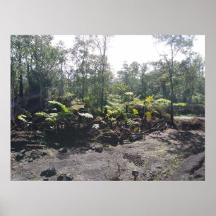 AFFICHE FERNES HAWAIIAN HAPUU