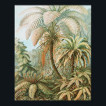 Affiche Ferns, Filicinae Laubfarne par Ernst Haeckel<br><div class="desc">Ferns,  Filicinae Laubfarne par Ernst Haeckel Poster</div>