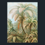 Affiche Ferns, Filicinae Laubfarne par Ernst Haeckel<br><div class="desc">Ferns,  Filicinae Laubfarne par Ernst Haeckel Poster</div>