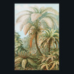 Affiche Ferns, Filicinae Laubfarne par Ernst Haeckel<br><div class="desc">Ferns,  Filicinae Laubfarne par Ernst Haeckel Poster</div>