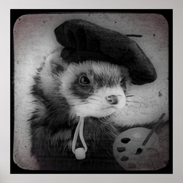 Affiche Ferret (Devant)