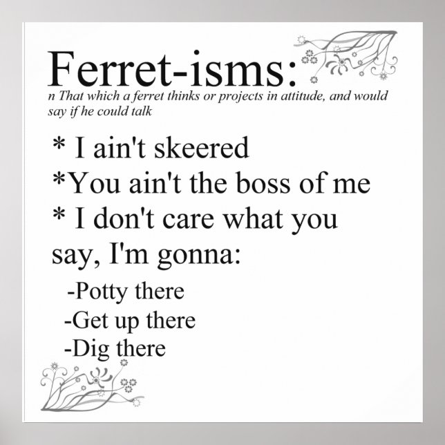 Affiche Ferret-isms & Sayings Imprimer (Devant)