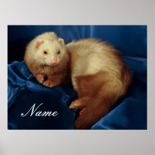 Affiche Ferret pour animal de compagnie personnalisé