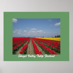 Affiche Festival de tulipe, festival de tulipe de vallée