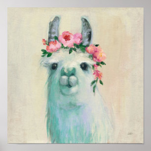Affiche Festival Llama