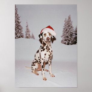 Affiche Festive Pup