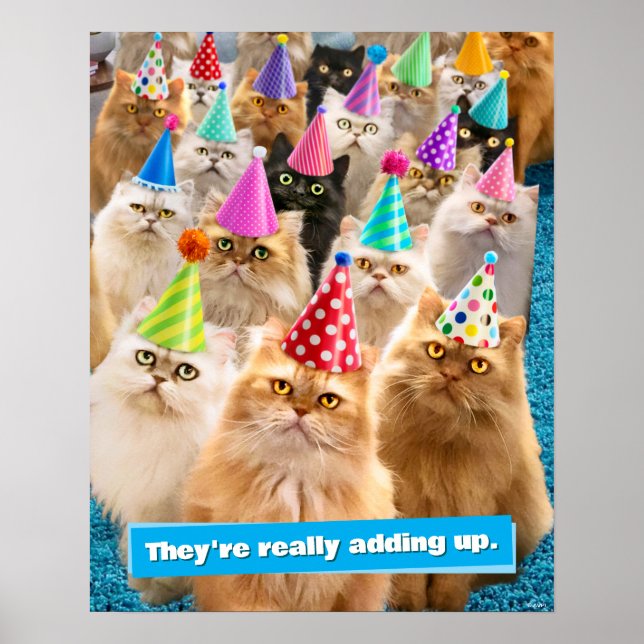 Affiche Fête de chats (Devant)