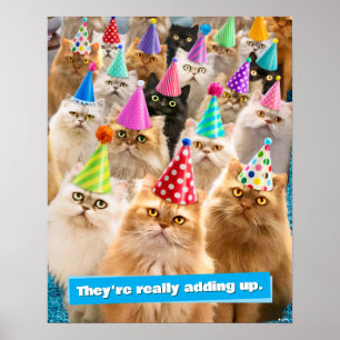 Affiche Fête de chats