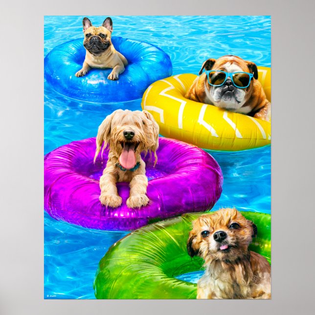 Affiche Fête de chien dans la piscine (Devant)