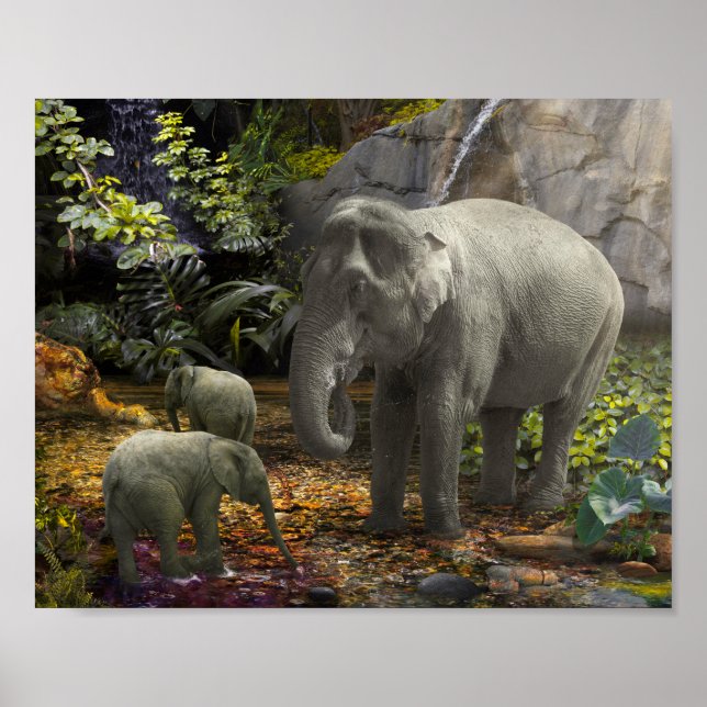 Affiche Fête de la famille éléphant dans la forêt tropical (Devant)