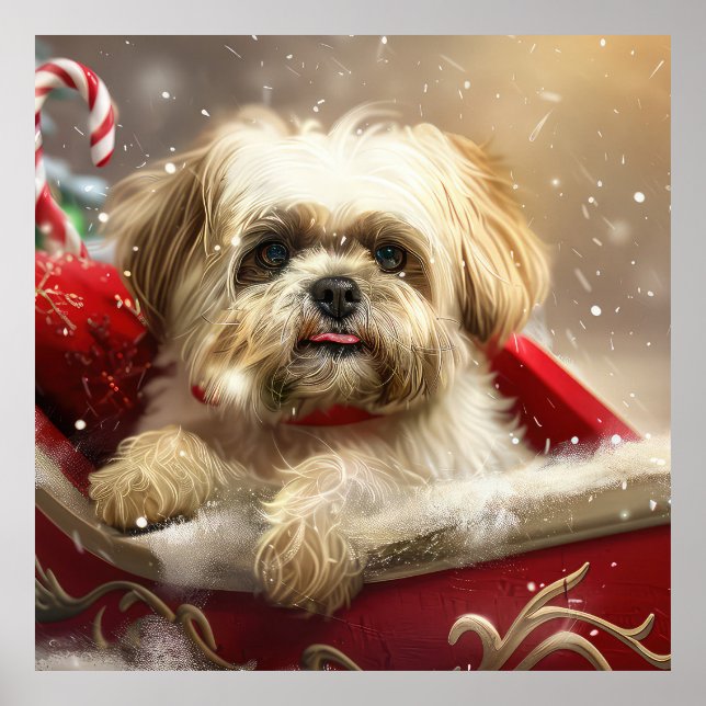 Affiche Fête de Noël de Chien Malti Tzu (Devant)