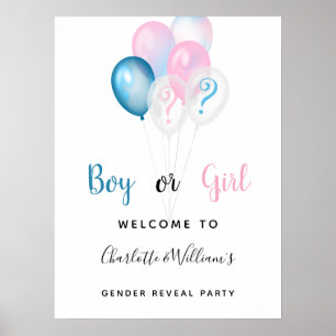 Affiche Fête de révélation du sexe garçon fille bleu rose