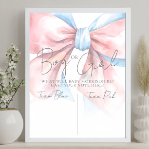 Affiche Fête de révélation du sexe Rose ou Bleu Vote